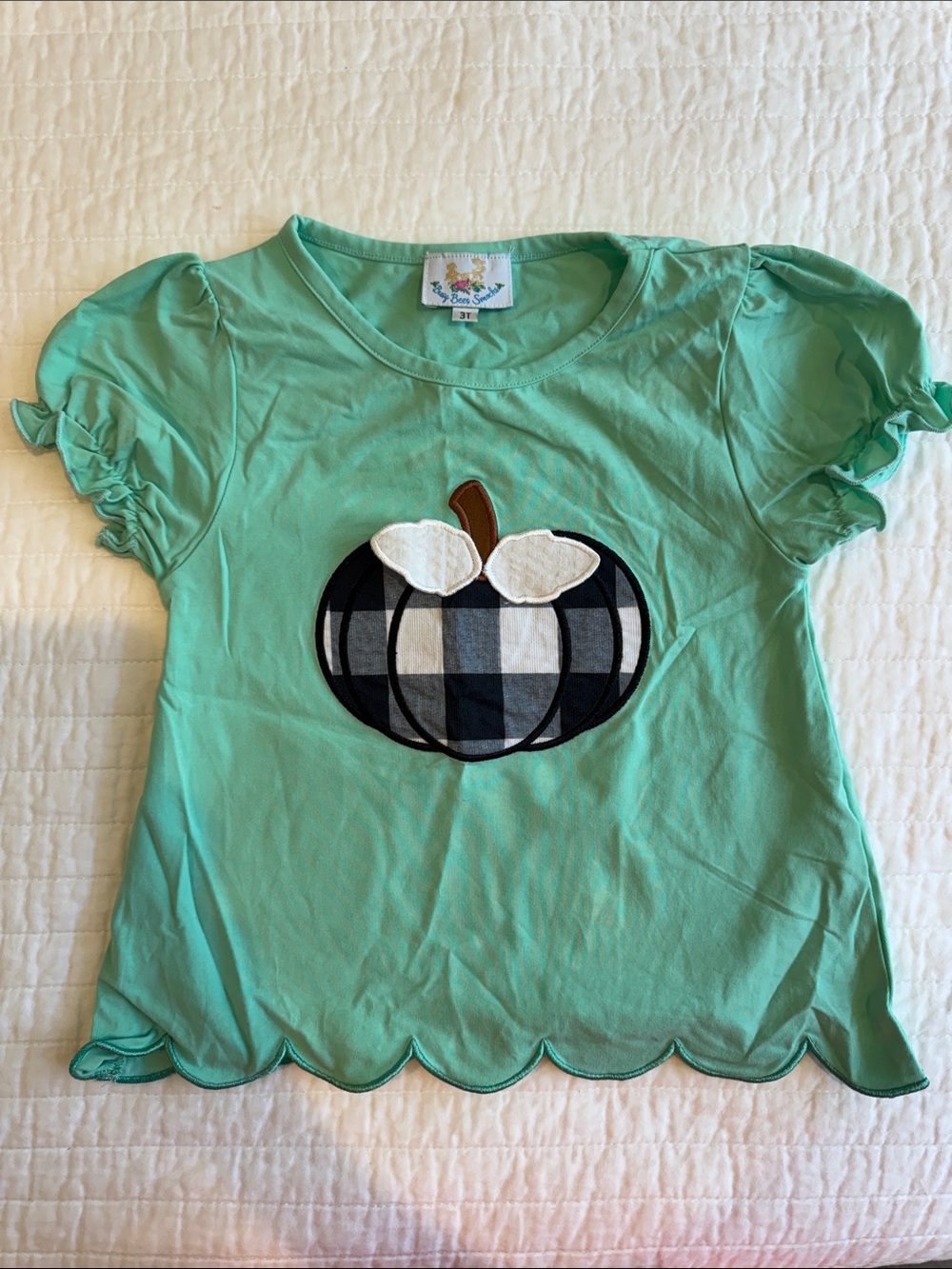 Busy Bees Smocks 3T Mint Green Puff Sleeve Top with Plaid Pumpkin Appliqué